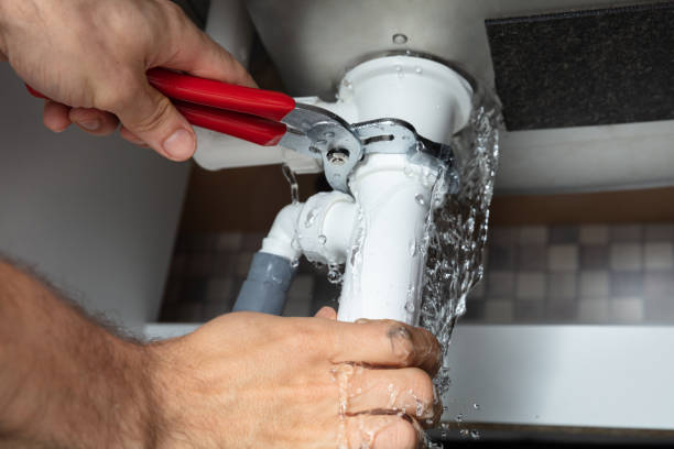 Best Mold removal after water damage  in Adamsville, TN