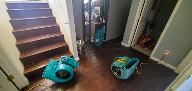 Best Flooded house restoration  in Adamsville, TN