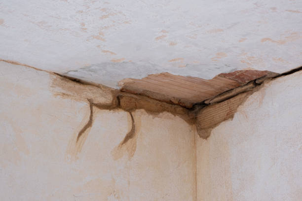 Best Water damage restoration services  in Adamsville, TN
