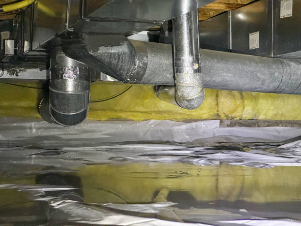 Best Sewage cleanup and water damage restoration  in Adamsville, TN