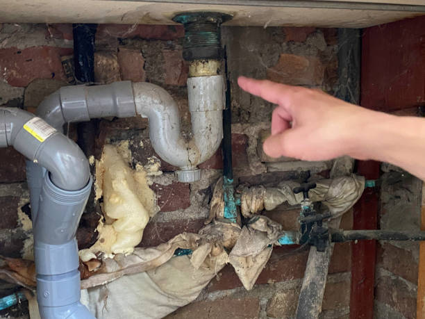 Best Fire Damage Restoration  in Adamsville, TN